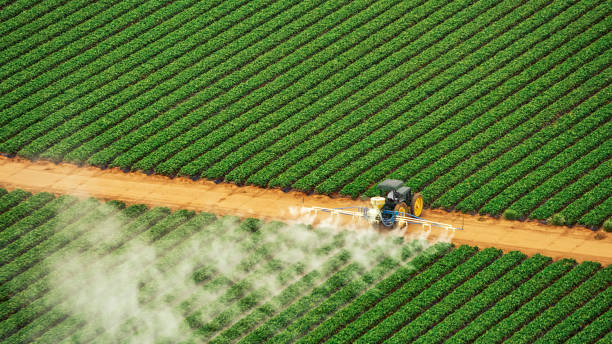 Best Local Pest Control Services  in Slater, MO