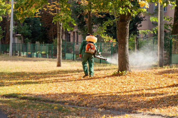 Best Insect Control  in Slater, MO