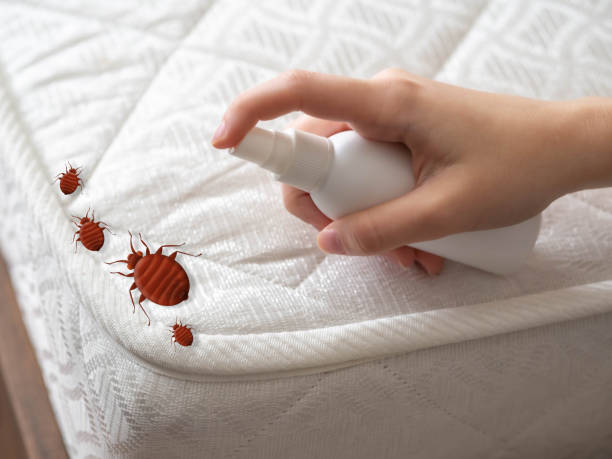 Best Residential Pest Control  in Slater, MO