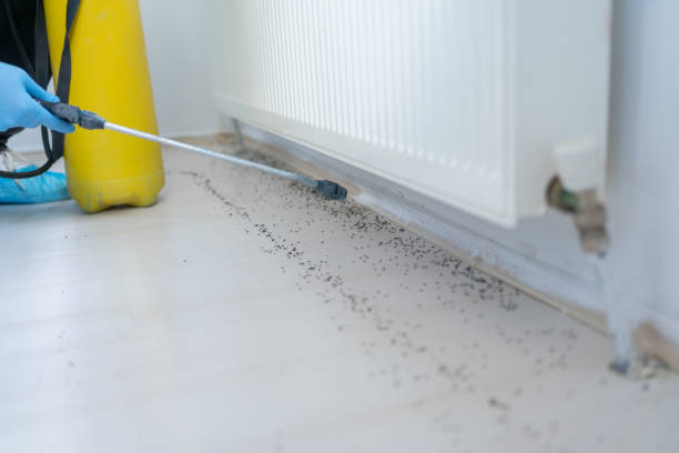 Trusted Slater, MO Pest Control Experts
