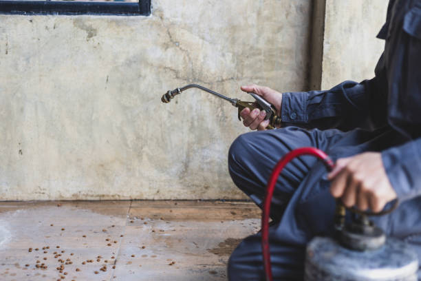 Best Mosquito Control Services  in Slater, MO